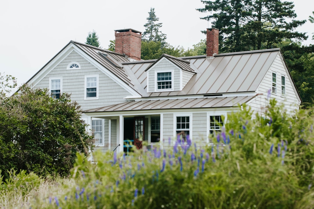 Transforming Spaces: A Guide to Budget-Friendly Home Decor Products